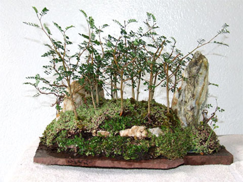 Paisaje-de-Pelu
